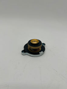 Reliant Rialto Robin Top Radiator Cap